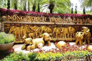 Nong Nooch